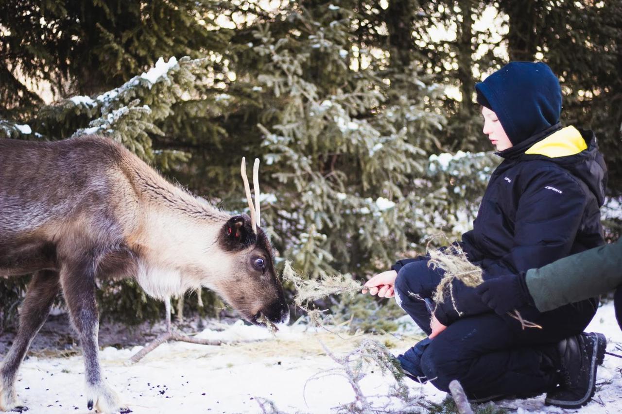 Beautiful Rural Experience With Reindeer Villa Tervola Dış mekan fotoğraf